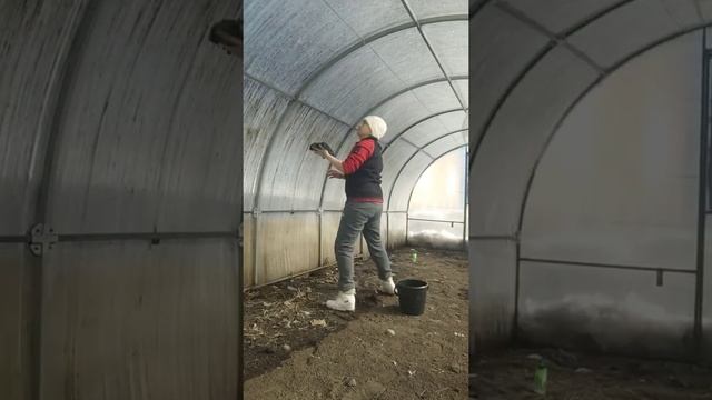 моем теплицу перед посадкой смотреть онлайн