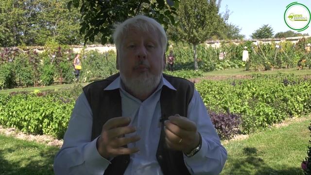 TOUT SAVOIR SUR LE BASILIC ET BIEN LE CULTIVER смотреть онлайн