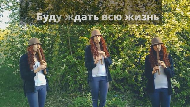 Сергей Бабкин Я пойду с тобой. Сопілка смотреть онлайн