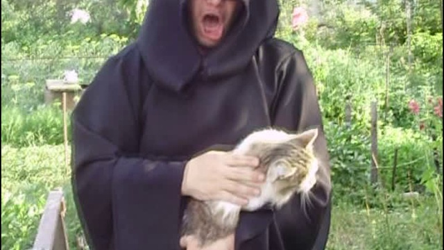 Бедный кошак...