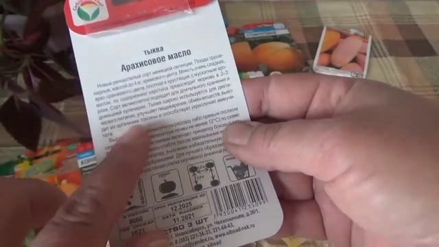 Обзор сортов тыквы от мелкоплодных до великанов смотреть онлайн