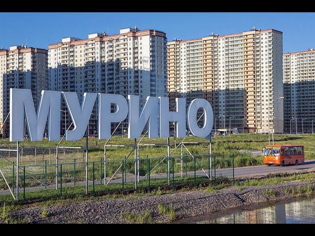 Работаем в городе Мурино. Да, это не Питер, это область. Дичь какая-то. смотреть онлайн