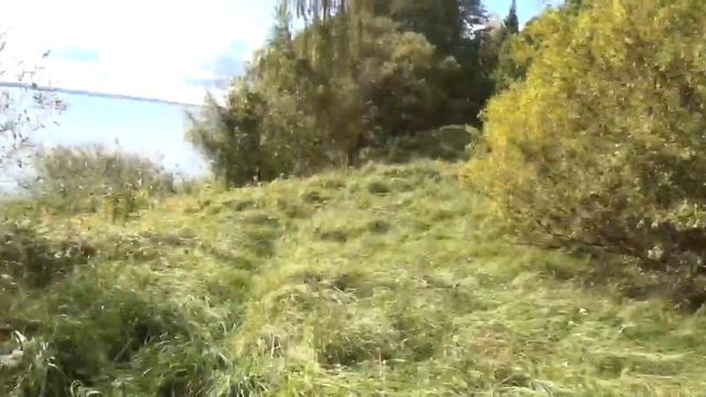 Нарочь Пасынские берега 20190923 смотреть онлайн