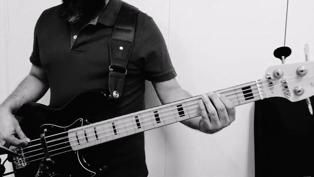 You Oughta Know - Alanis Morissette (Flea BassLine) - Bass Cover - Use Headphones смотреть онлайн