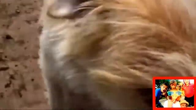 Лето в деревне что это?... наказание или наоборот. Что думают по этому поводу дети? Смотри. смотреть онлайн