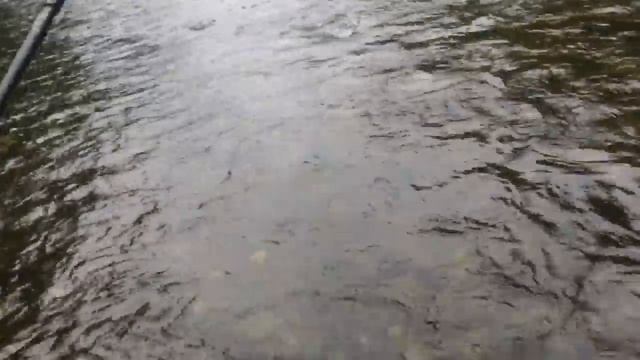 Ловля Гольца Ленка на воблеры река Кема смотреть онлайн