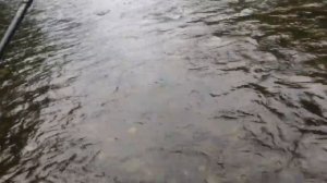 Ловля Гольца Ленка на воблеры река Кема