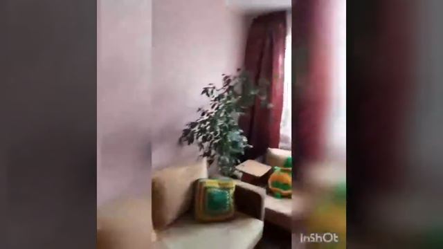 Краснокамск, ул. Большевистская, 33в смотреть онлайн