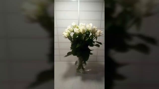 Цветы,цветы без повода.... Из раннего... смотреть онлайн