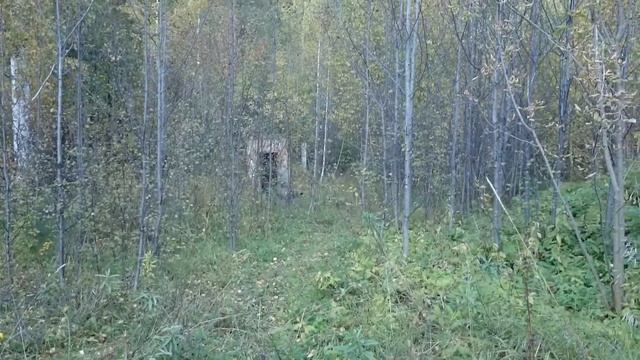 Один день на все... Захват склада с оружием. смотреть онлайн