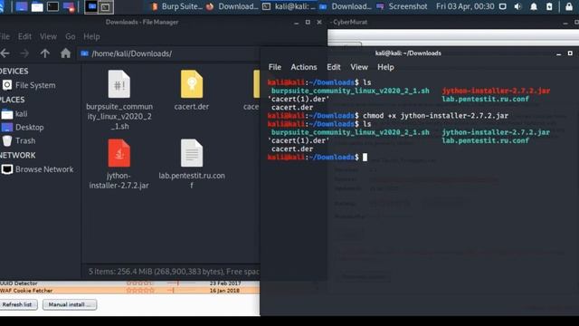 Burp Suite Extender смотреть онлайн