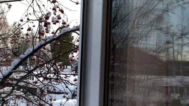 КАК ПЕРЕВЕСТИ ПЛАСТИКОВЫЕ ОКНА НА ЗИМНИЙ РЕЖИМ смотреть онлайн