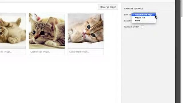 WordPress - Image gallery - Oh Alright! смотреть онлайн