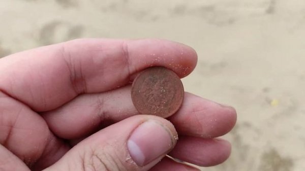 NOKTA MAKRO SIMPLEX PLUS поиск на пляже