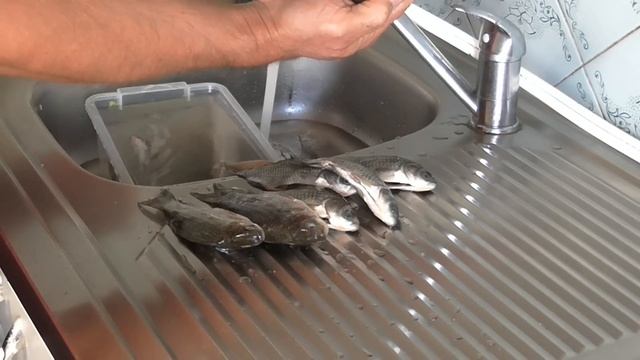 Вкусные рецепты рыбы