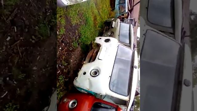 Амурская область горот зея зейский лесхоз карупцыя тут смотреть онлайн