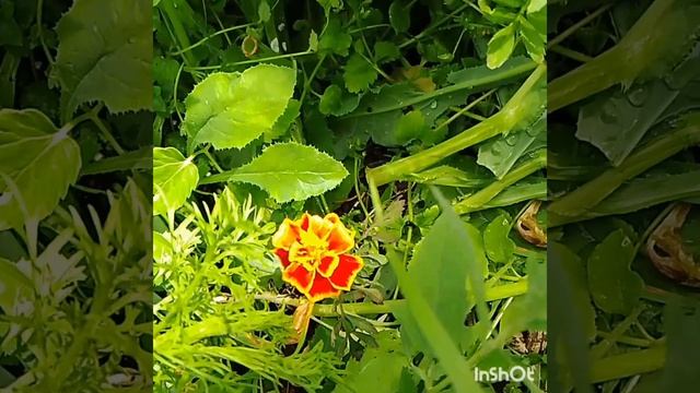 ? смотреть онлайн