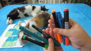 3 МАРКЕРА ЧЕЛЛЕНДЖ ! КОТ МАЛЫШ И КРОЛИК БАФФИ РИСУЮТ ЛЕДИБАГ, НУБА  С МАЙНКРАФТ! 3 MARKER CHALLENGE