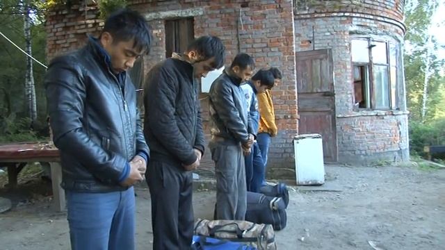 Задержаны мигранты из Средней Азии смотреть онлайн