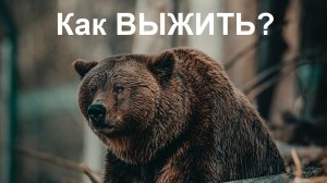 Средства защиты от медведя | Как защититься от медведя в лесу, спастись от диких зверей, бушкрафт