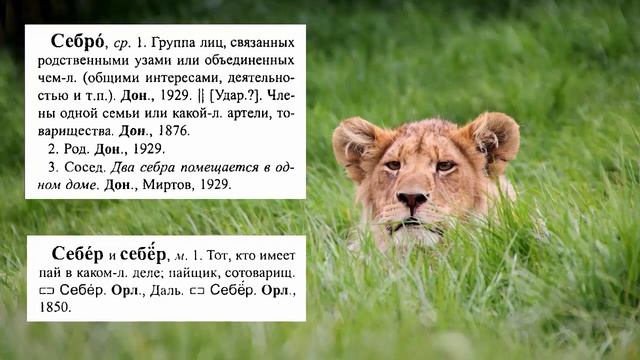 Вежливые обращения в русском языке смотреть онлайн