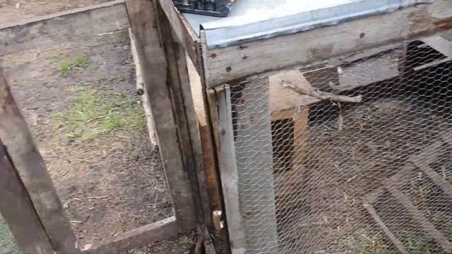 Обустраиваю летний домик для индоуток смотреть онлайн