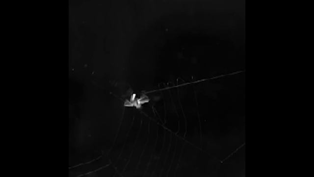 Красивый Дом