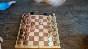 Мат в 2 хода. Самый быстрый в шахматах, мальчик ставит.