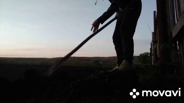Дуб - символ здоровья и крепкости! Посадил деревья - помог природе✅?!!! смотреть онлайн