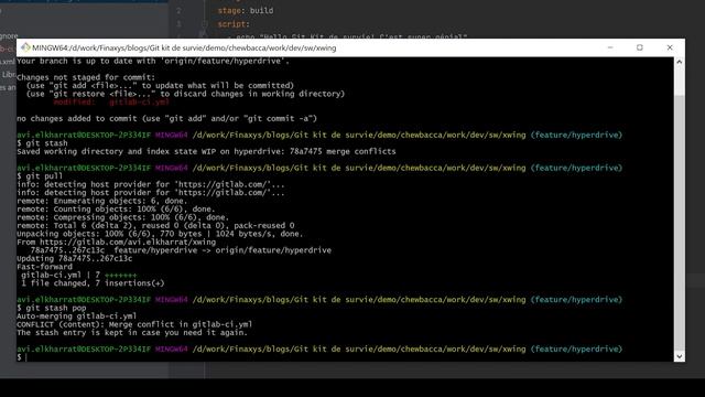 INFO Lab : Git, le kit de survie ! Part 2 смотреть онлайн