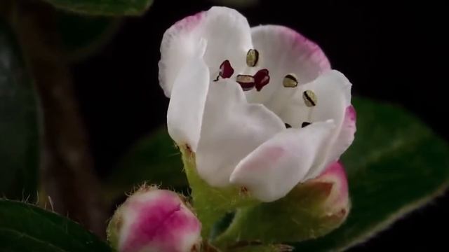 Влюблённые в Небо Глаза по заказу Altituda (Погребняк А.Г.) смотреть онлайн