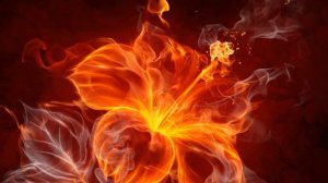 К чему снится ОГОНЬ или видеть ОГОНЬ во сне ★ Толкование Снов ★ СОННИК 3.0™