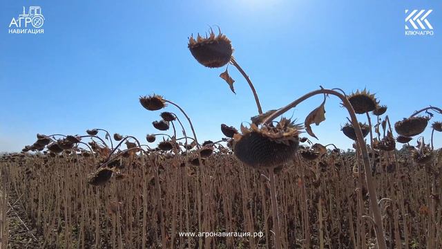 Электрический автопилот Keyagro 4.0 в Егорлыкском районе, Ростовской области. Отзывы пользователей. смотреть онлайн