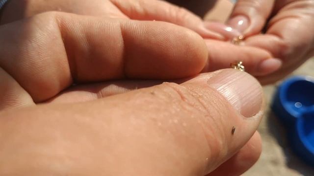 От этой находки хотелось кричать и ругаться матом!Коп на пляже Урзуфа! смотреть онлайн