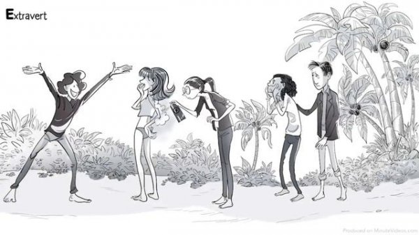 The Big Five Personality Traits