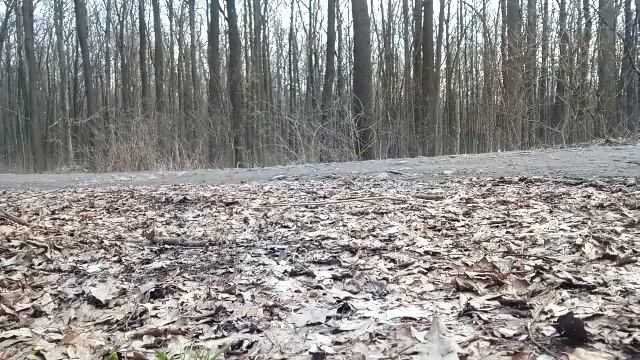 Покатушки на Cezet 350 472.6 смотреть онлайн