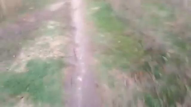 Сегодня Погода Резко Изменилась.. С Дождя на Мороз?️❄️ И Ветер Ночью был. ? смотреть онлайн