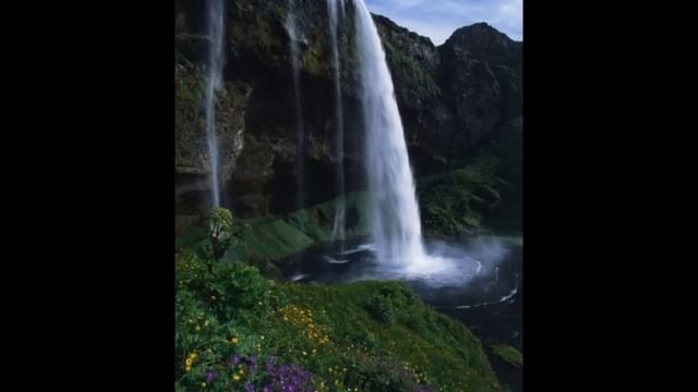 Peace- Among Wildflowers Calming Music By Andrew Fitzgerald смотреть онлайн