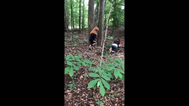 Religion project fortnite St Mark смотреть онлайн