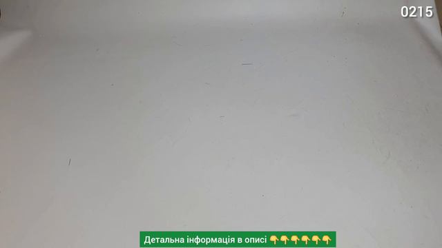 ❌СЕКОНД ХЕНД ОПТОМ [L-TEX]Тюль тонка, фіранки, занавіски мікс. Польща. 20,4кг смотреть онлайн