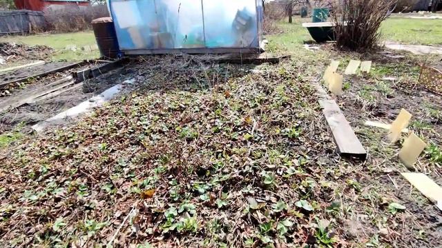 Земельный участок в СНТ Царёво г.Тюмень смотреть онлайн