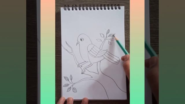 Bird Sketch #13 смотреть онлайн