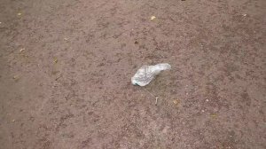 Пугач из болтов и гайки | Взрыв болты | Два болта+гайка+пакет+спички