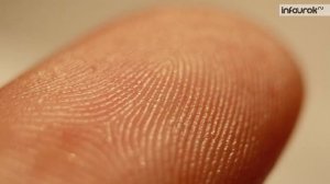 Зачем нужна гигиена. Кожа. Особые образования кожи | Окружающий мир 4 класс #19 | Инфоурок