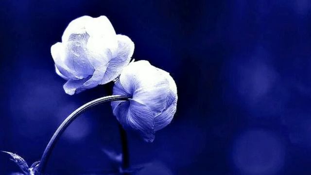 Люби красиво смотреть онлайн