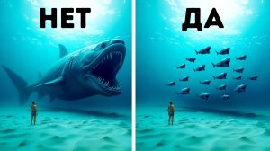 Что, если бы вы жили в девонский период