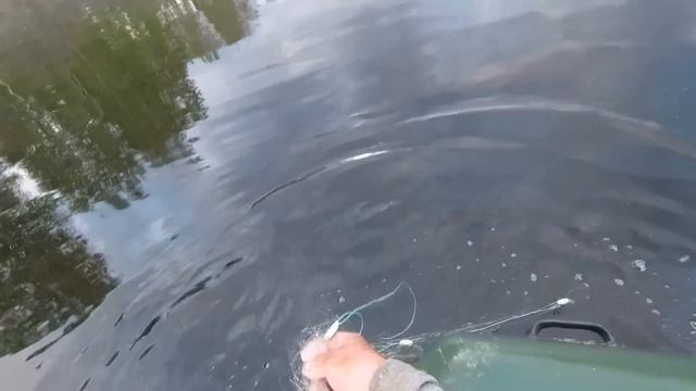 На разливе. Проверяем сеть... смотреть онлайн