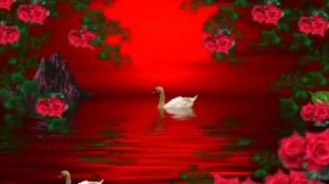 Кабриолет - Розы, розы.