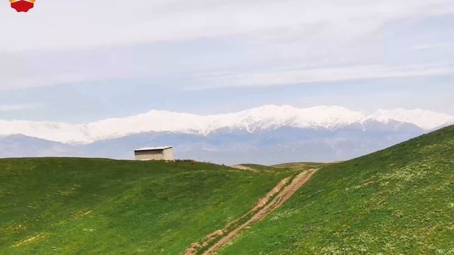 Пейзаж праздника Цинмин от КННК смотреть онлайн