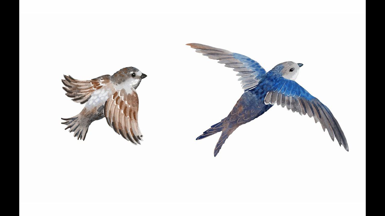 15. Птицы. Часть 2 смотреть онлайн